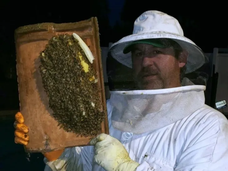 A BeeSmart beekeeper holding a frame covered in live honey bees