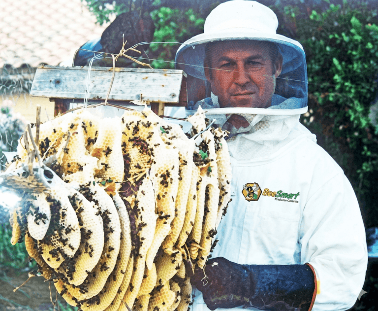 Robert Duffin, owner of BeeSmart Bee Removal, who has been doing this for over 30 years