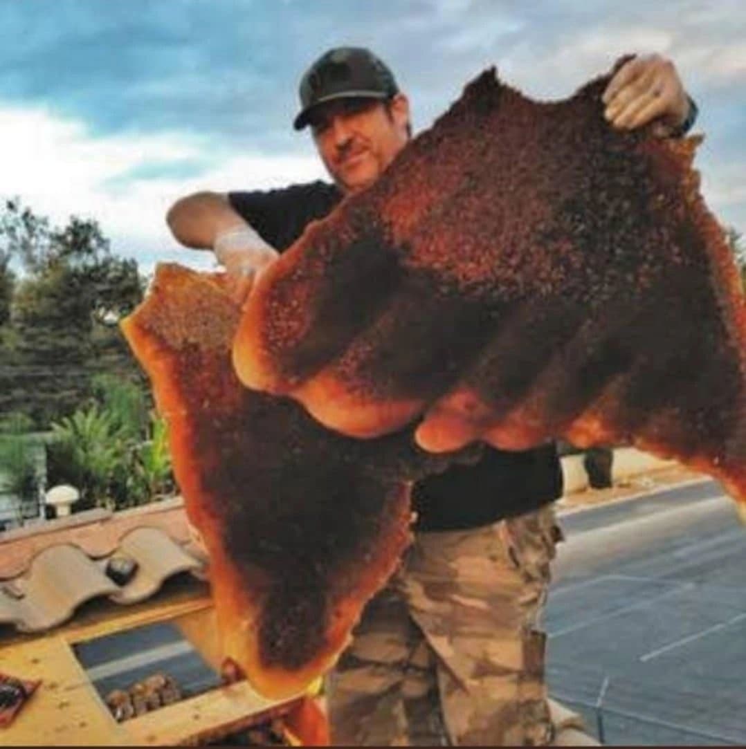 Robert Duffin removing a large honeycomb from a home's roof