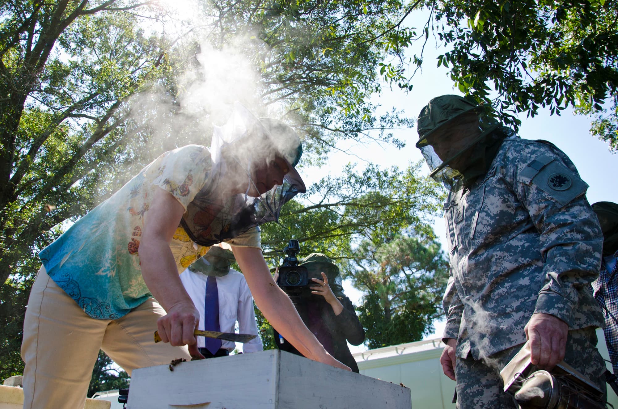 Beekeeper checking a hive during a bee removal