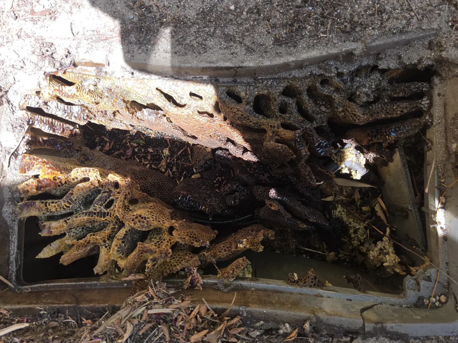 A large in-ground valve box in Palm Springs filled with layered honeycomb